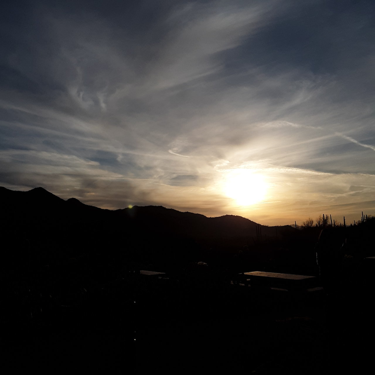 20210107_170309.jpg
