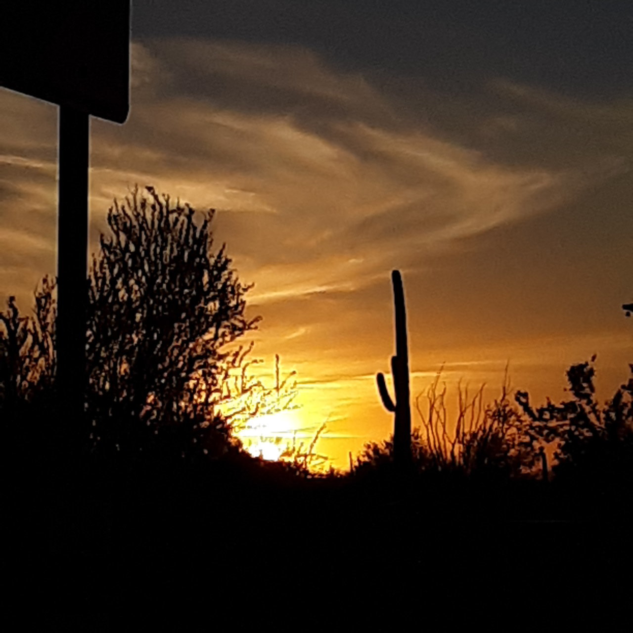 20210107_173012.jpg