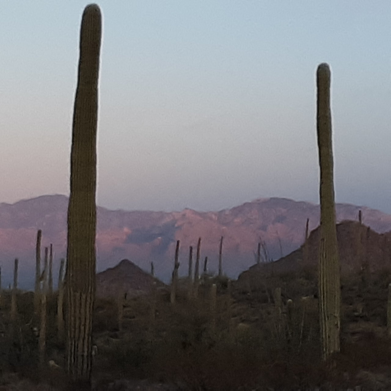 20210107_173404.jpg