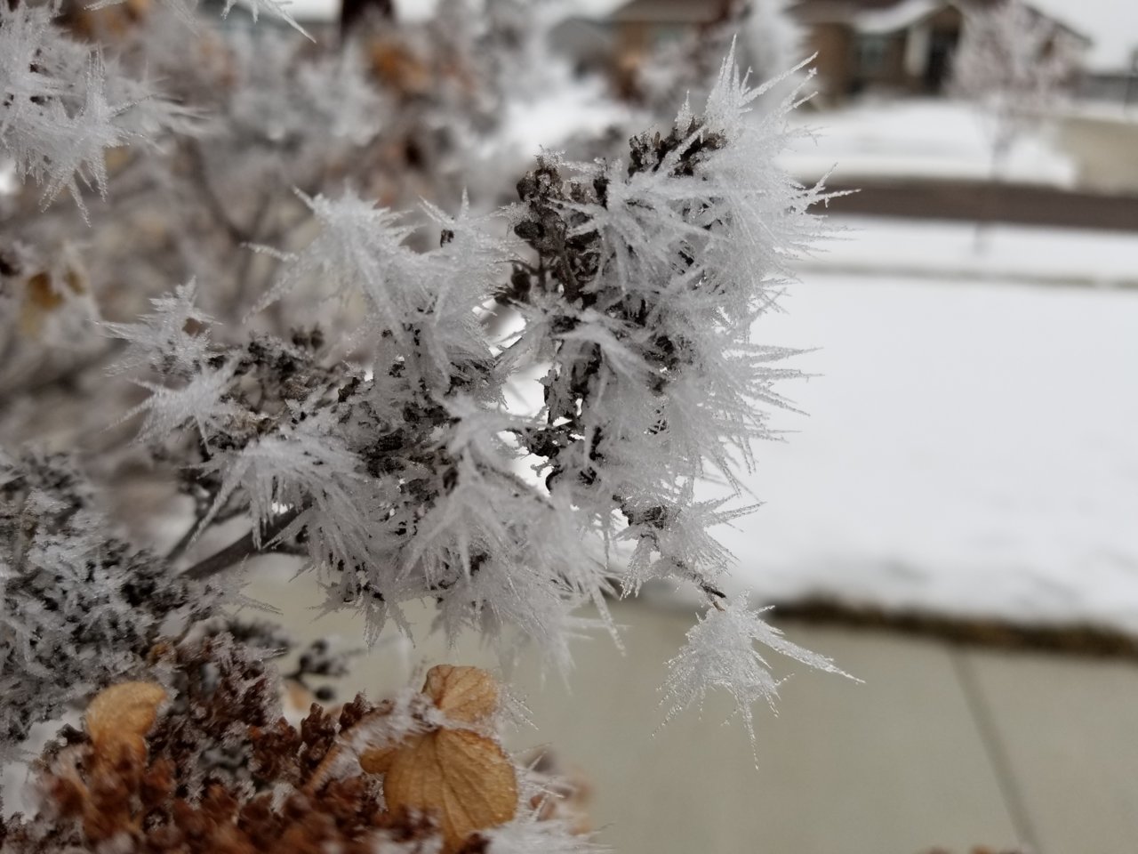 20210108_161423.jpg