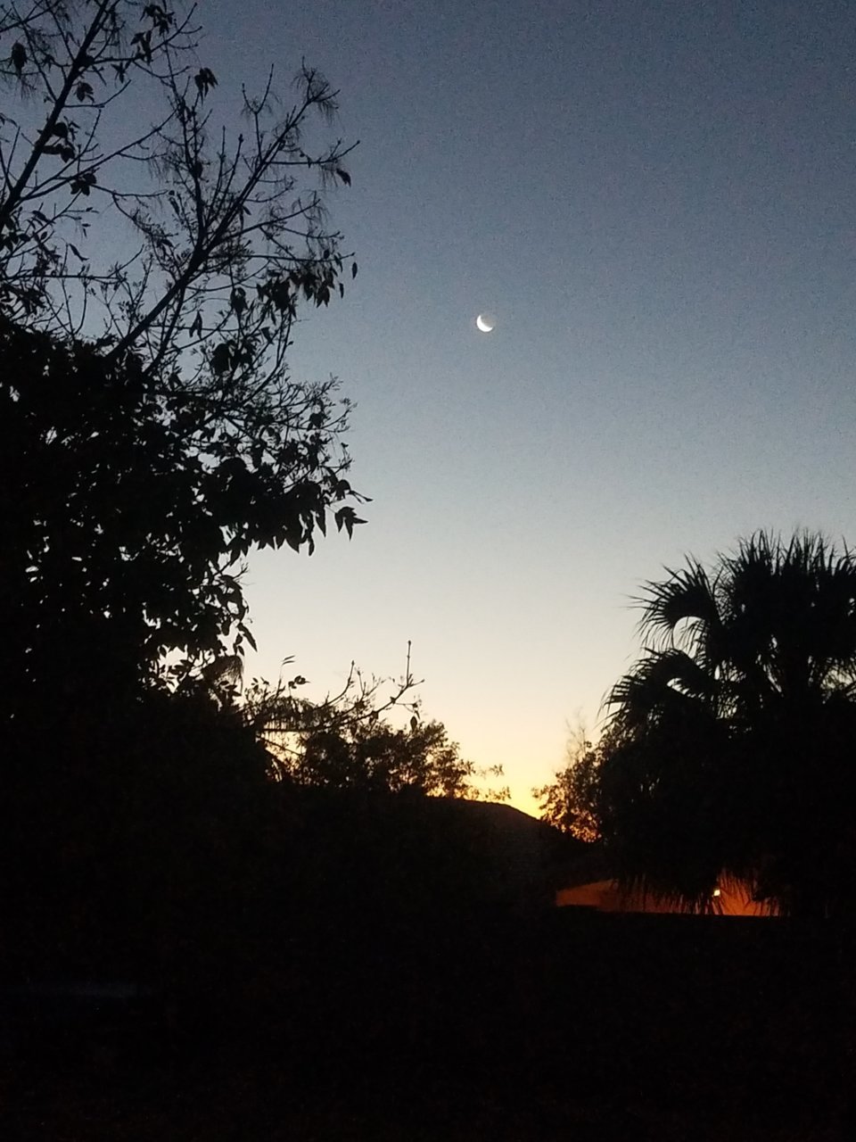 20210110_070324.jpg