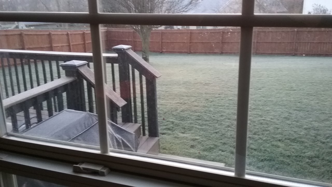 20210110_080433.jpg