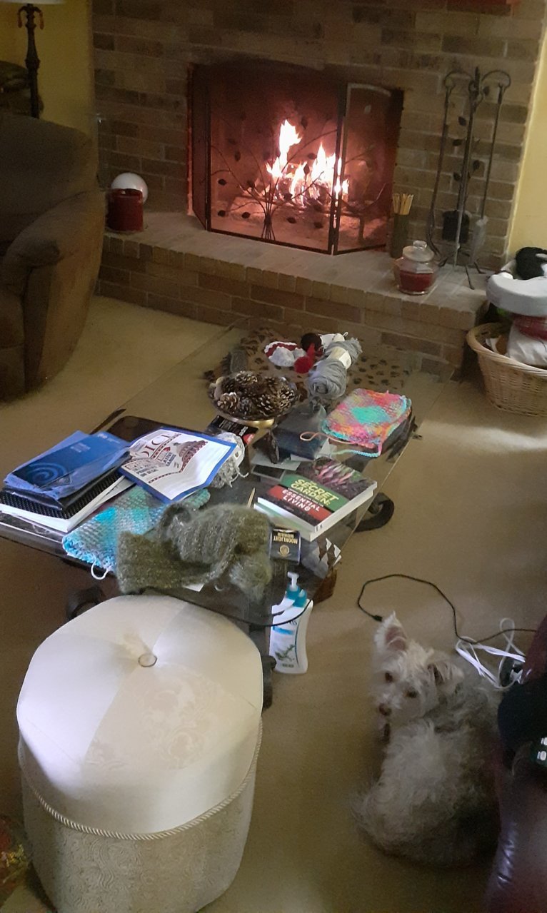 20210110_123140.jpg