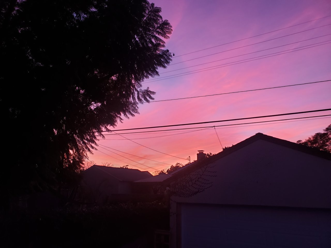 20210113_172137.jpg