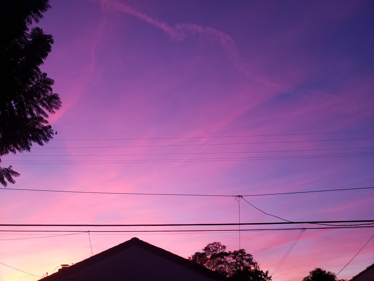 20210113_172145.jpg