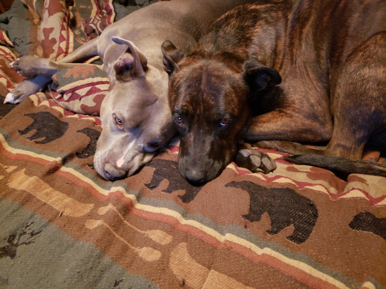 20210113_205851.jpg