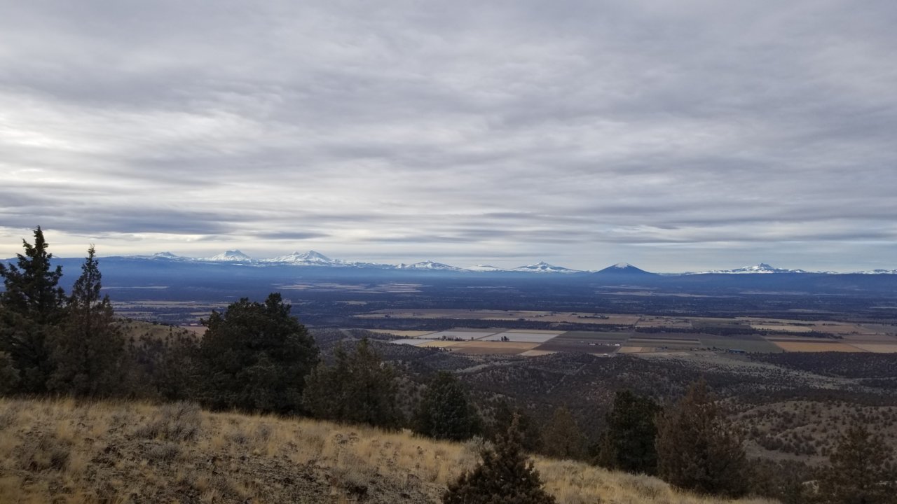 20210116_124015.jpg