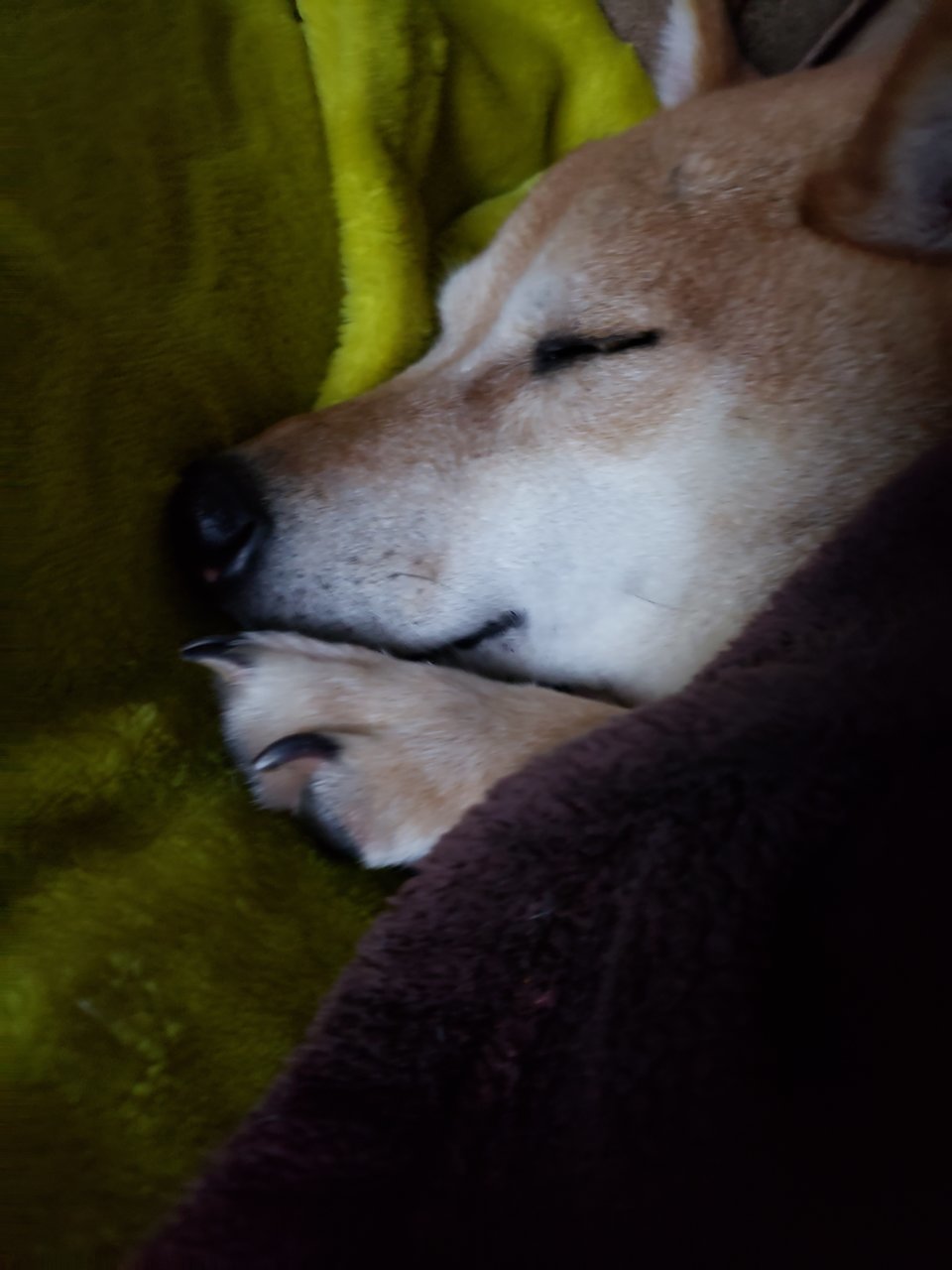 20210116_221339.jpg