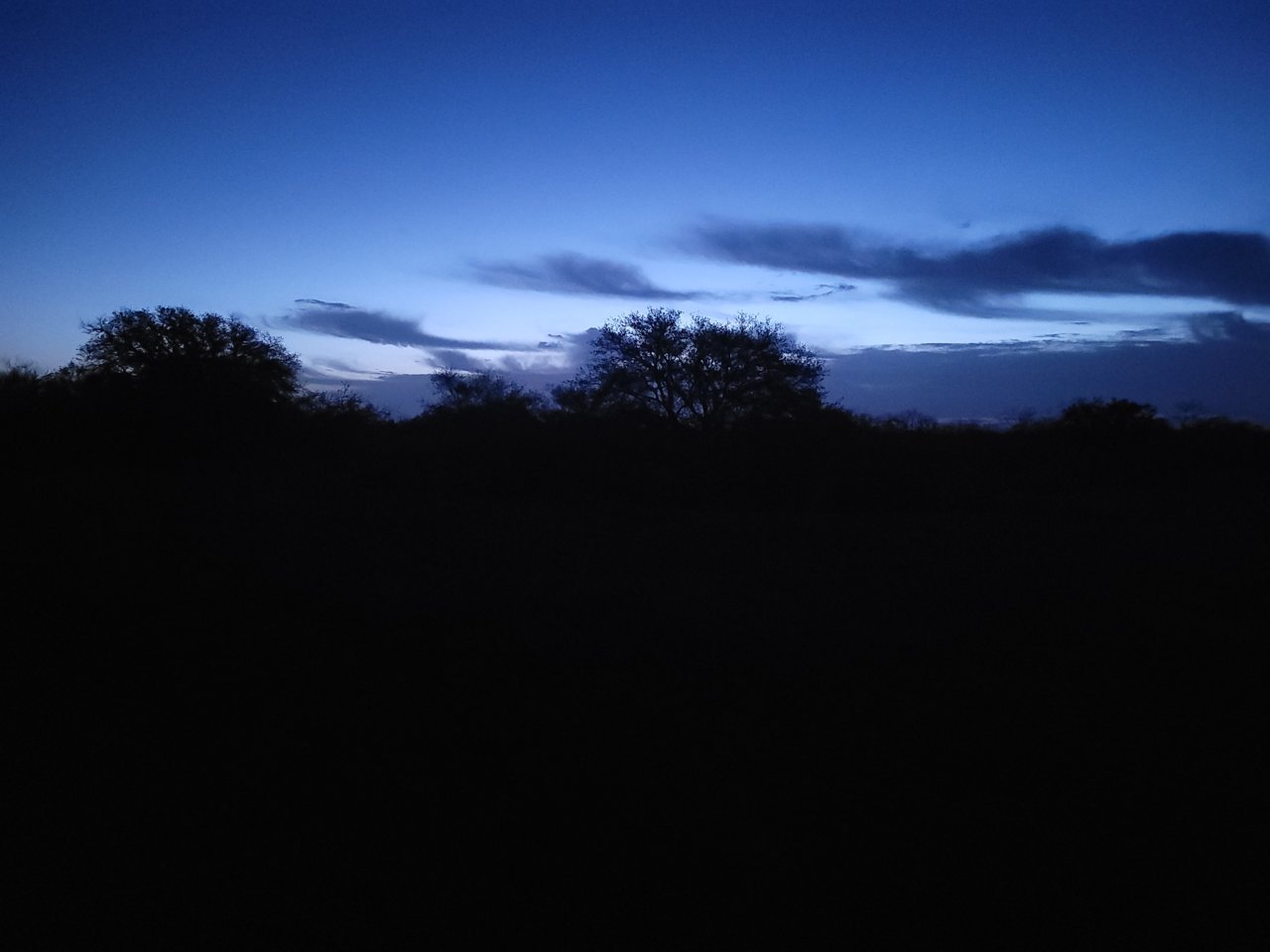 20210117_064515.jpg