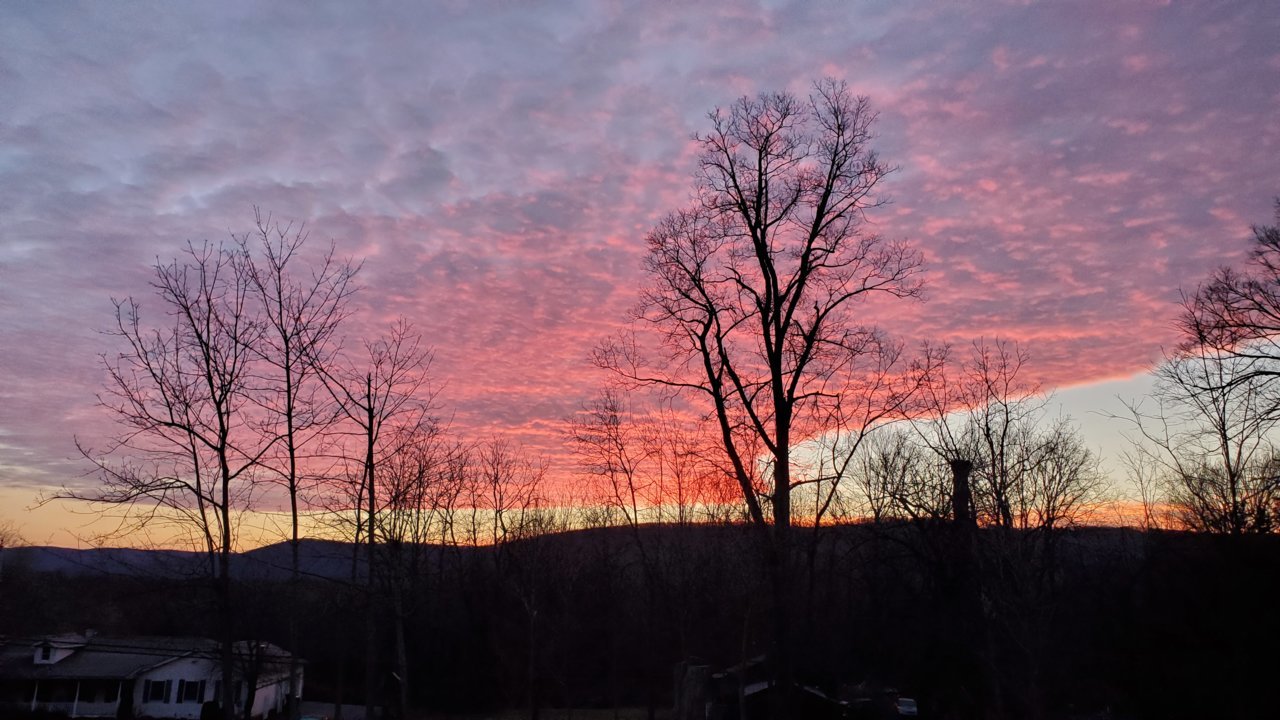 20210121_070332.jpg