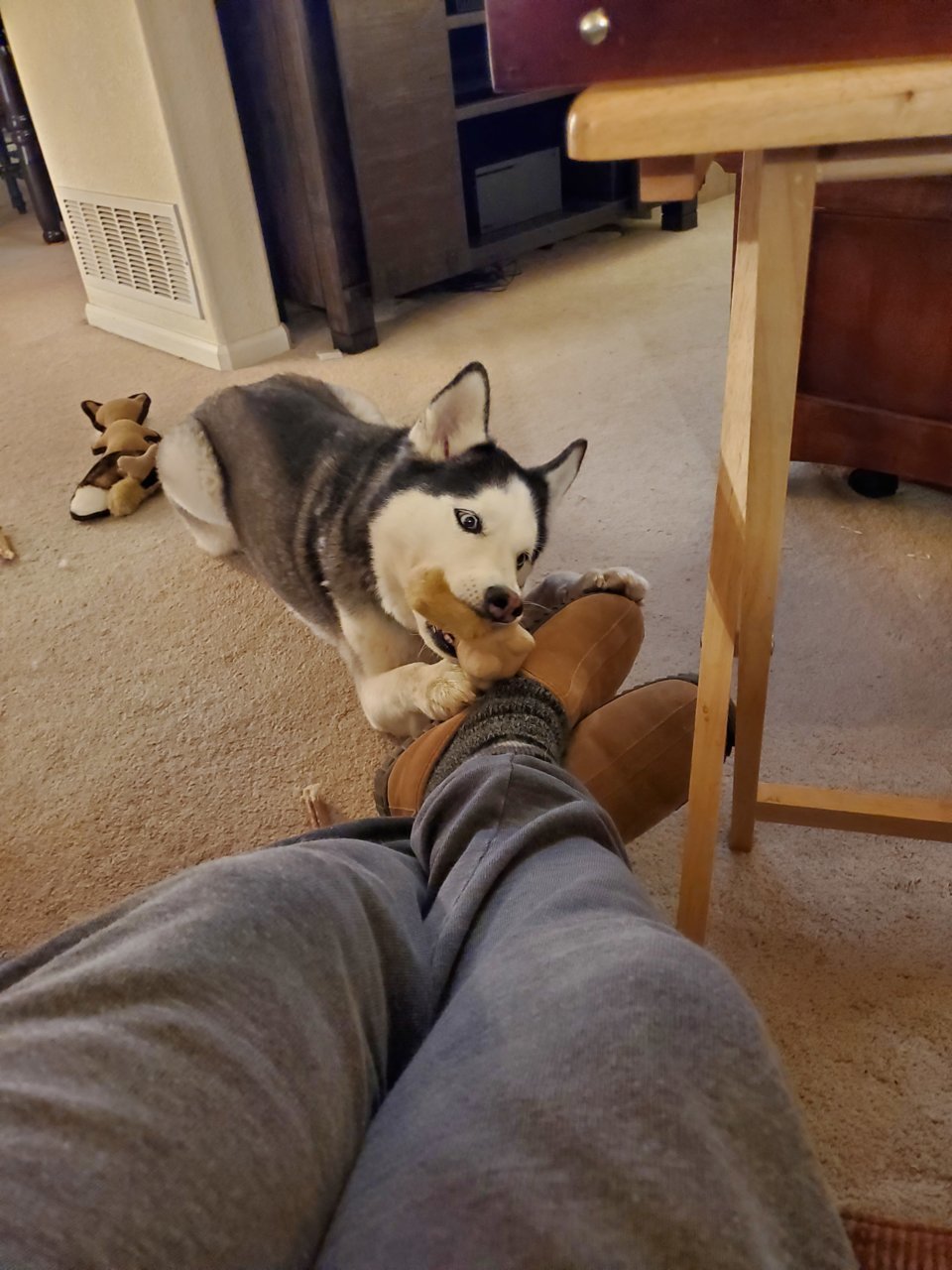 20210121_211947.jpg