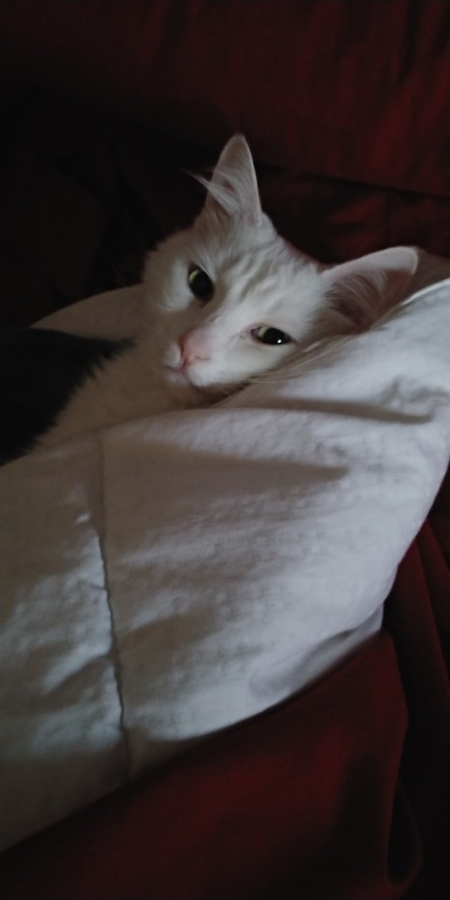 20210123_083351.jpg