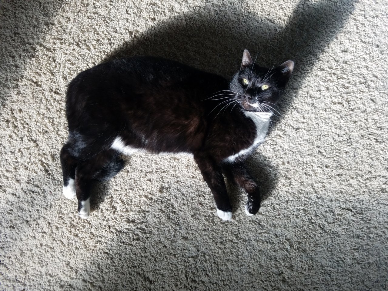 20210124_144226.jpg