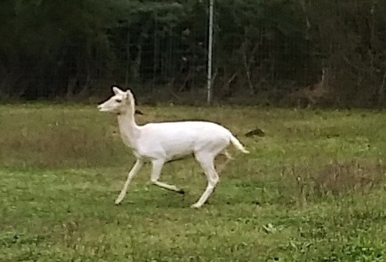 20210125_085838_HDR~4.jpg