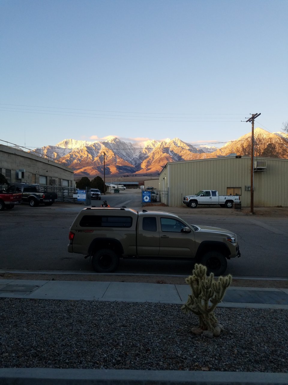 20210126_071149.jpg