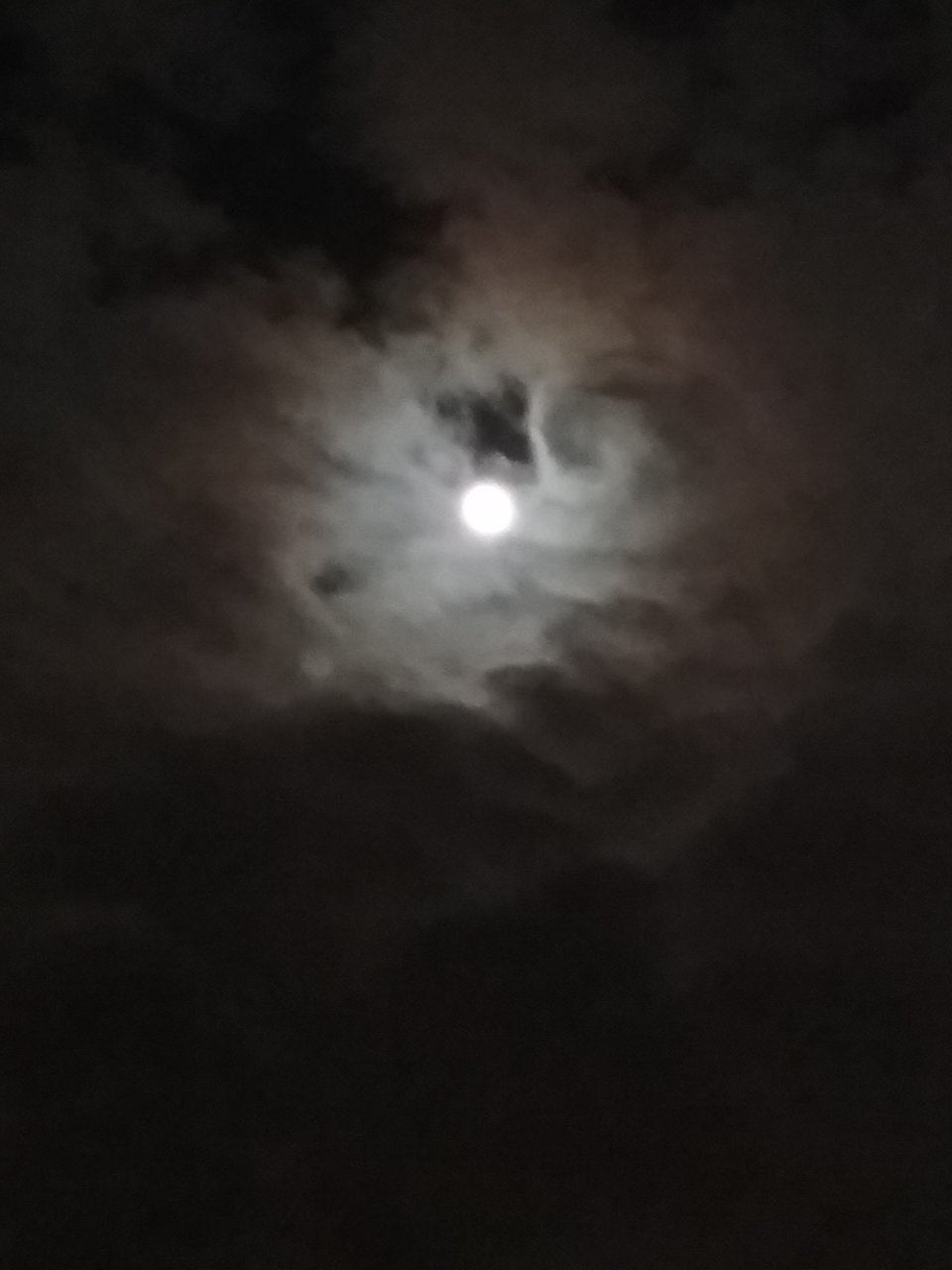 20210127_190149.jpg