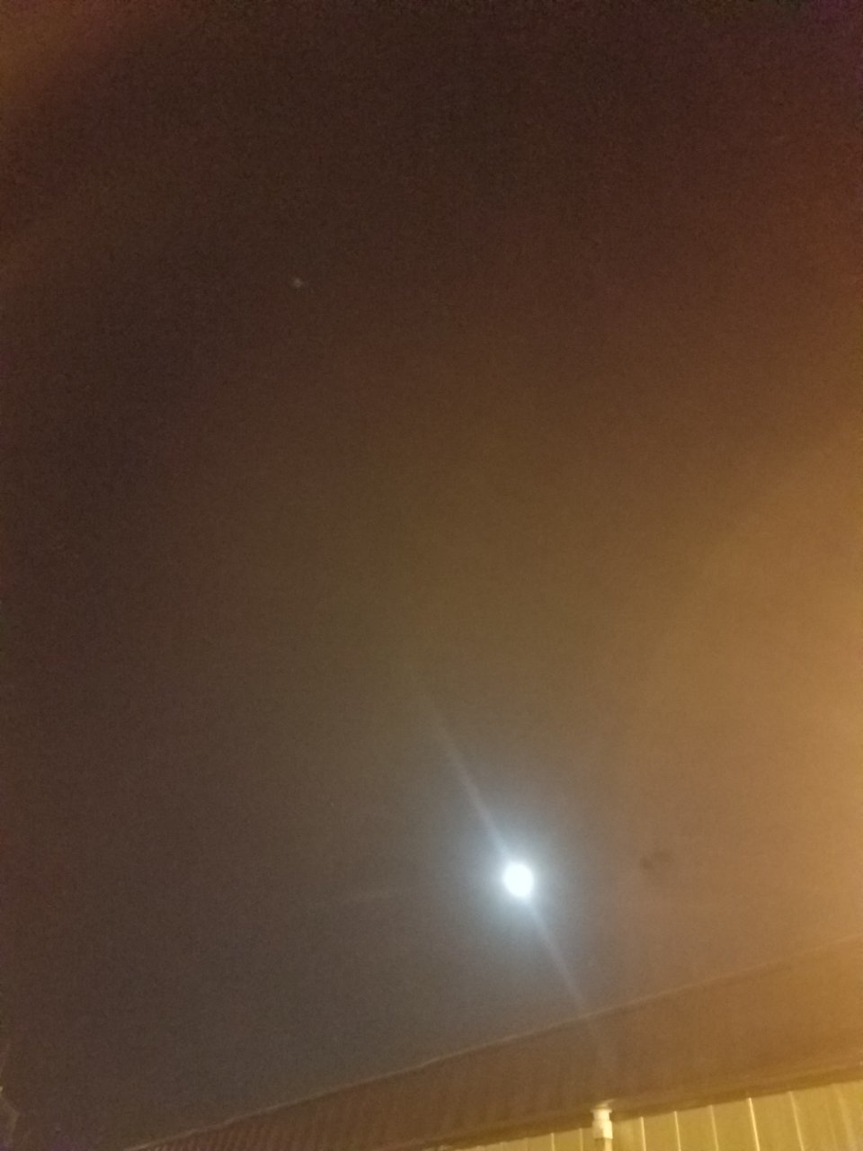 20210129_061746.jpg