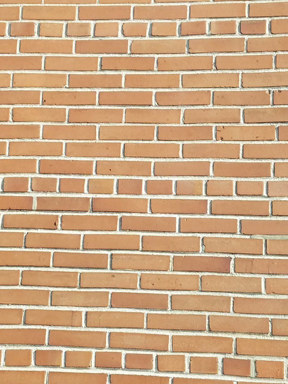 20210129_134805.jpg