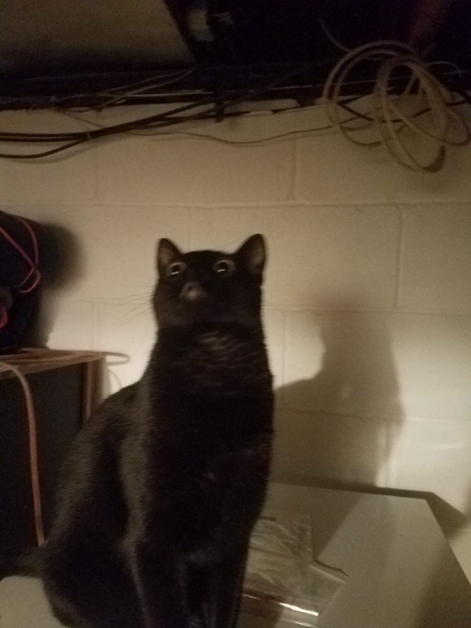 20210129_172623.jpg