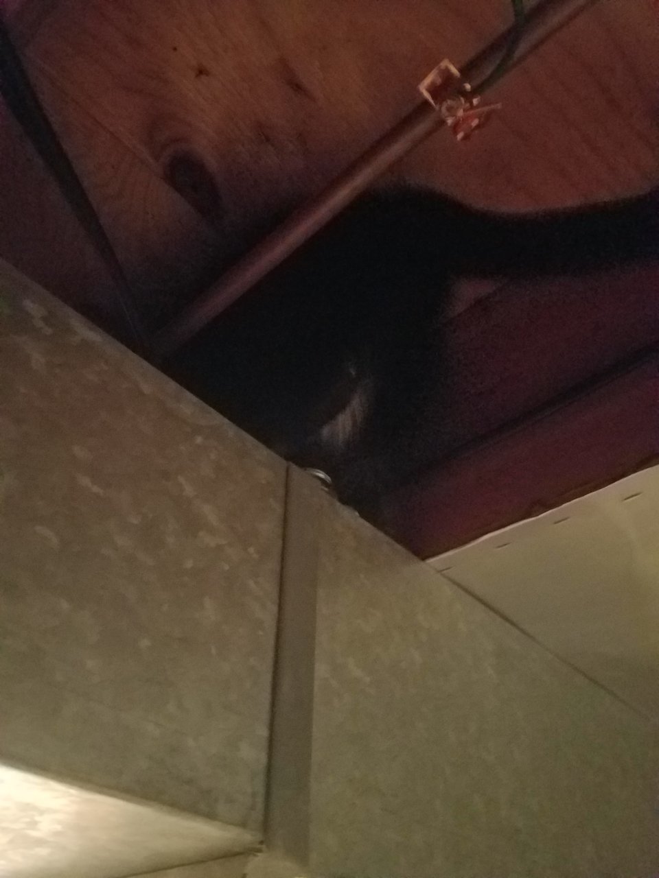 20210129_172638.jpg