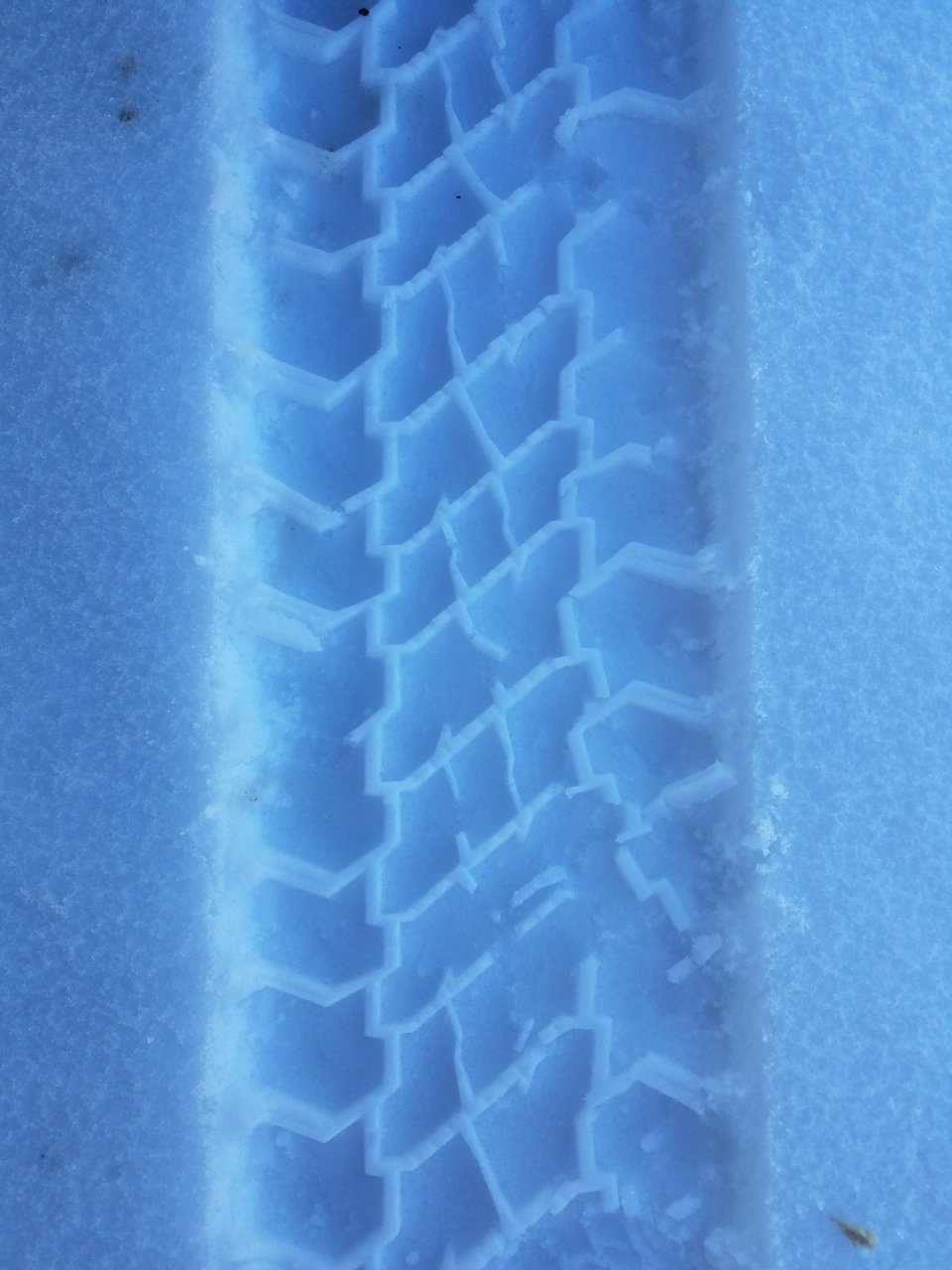 20210130_114532.jpg