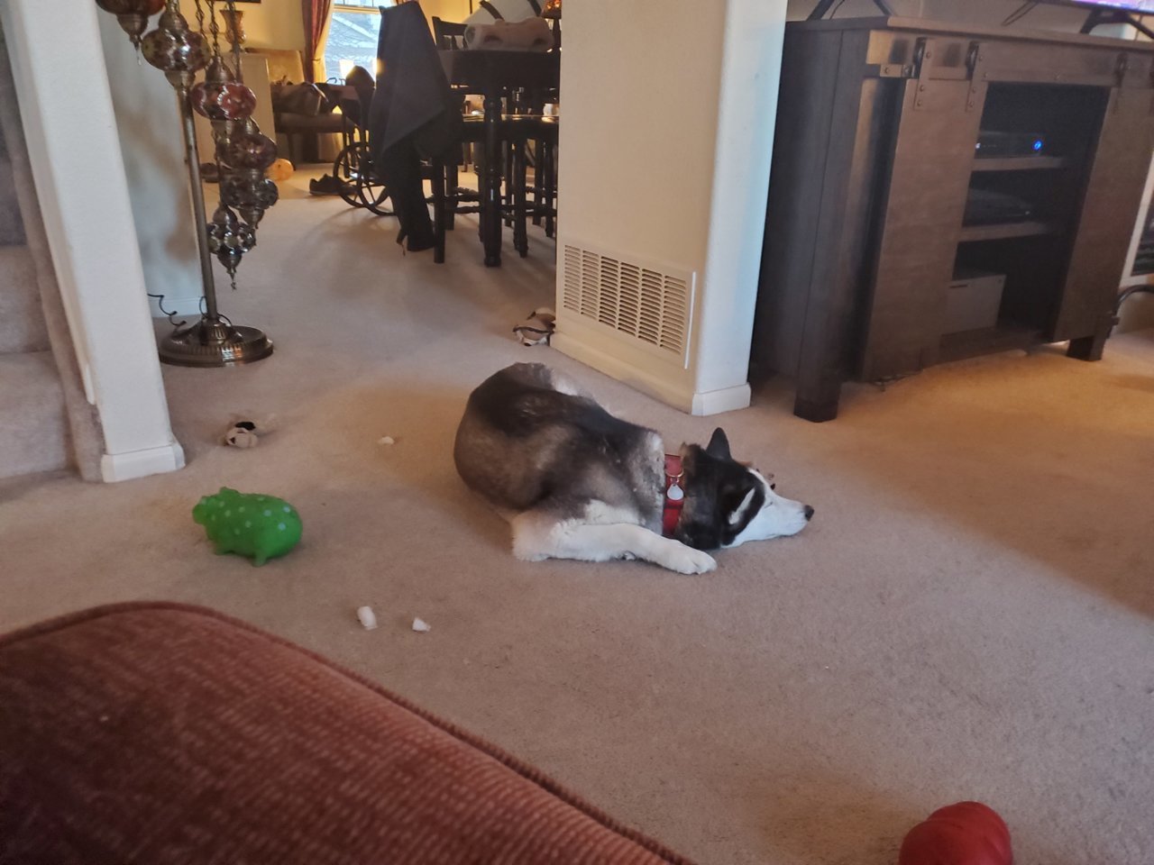 20210131_171018.jpg