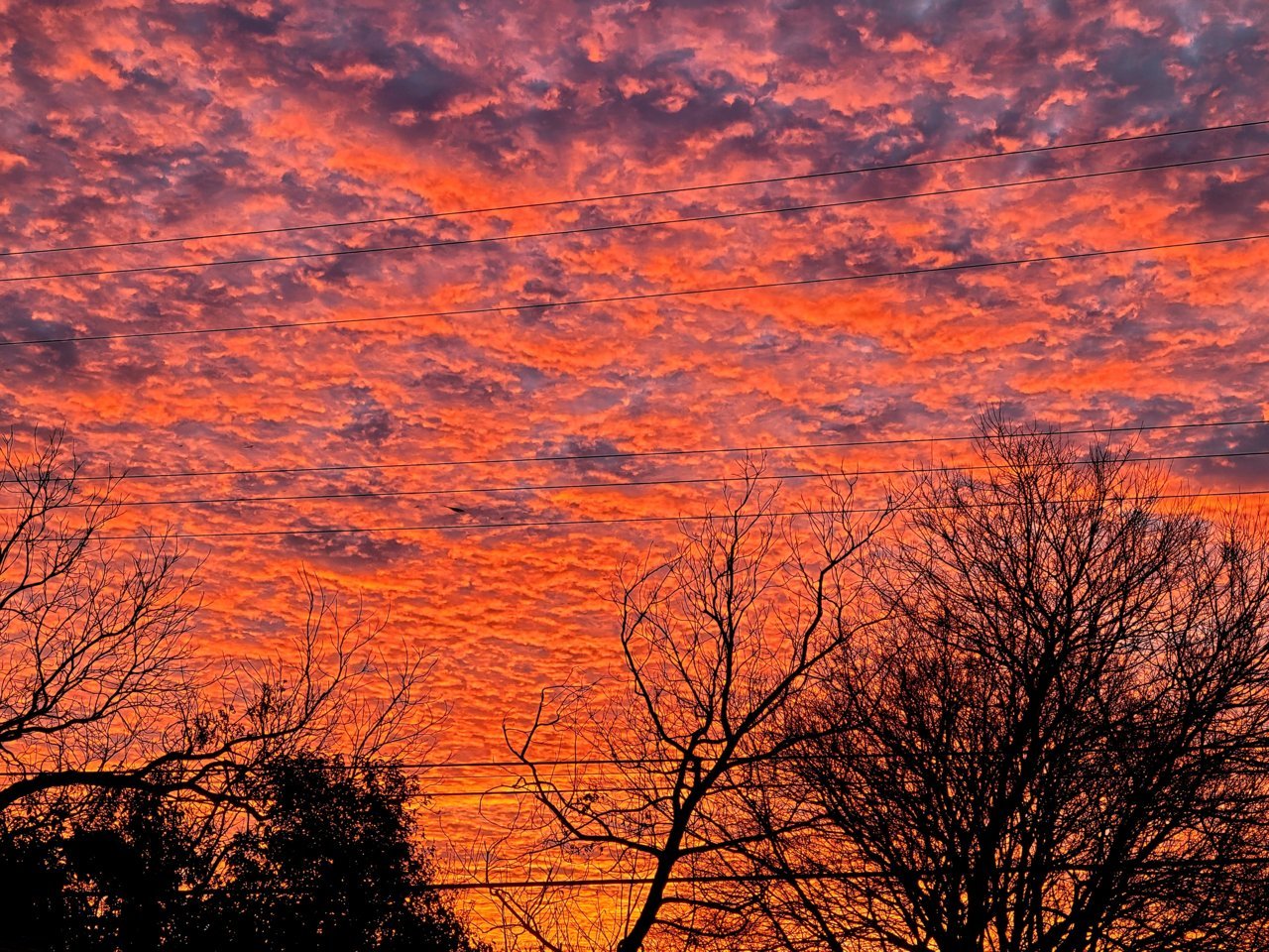 20210202_071235.jpg