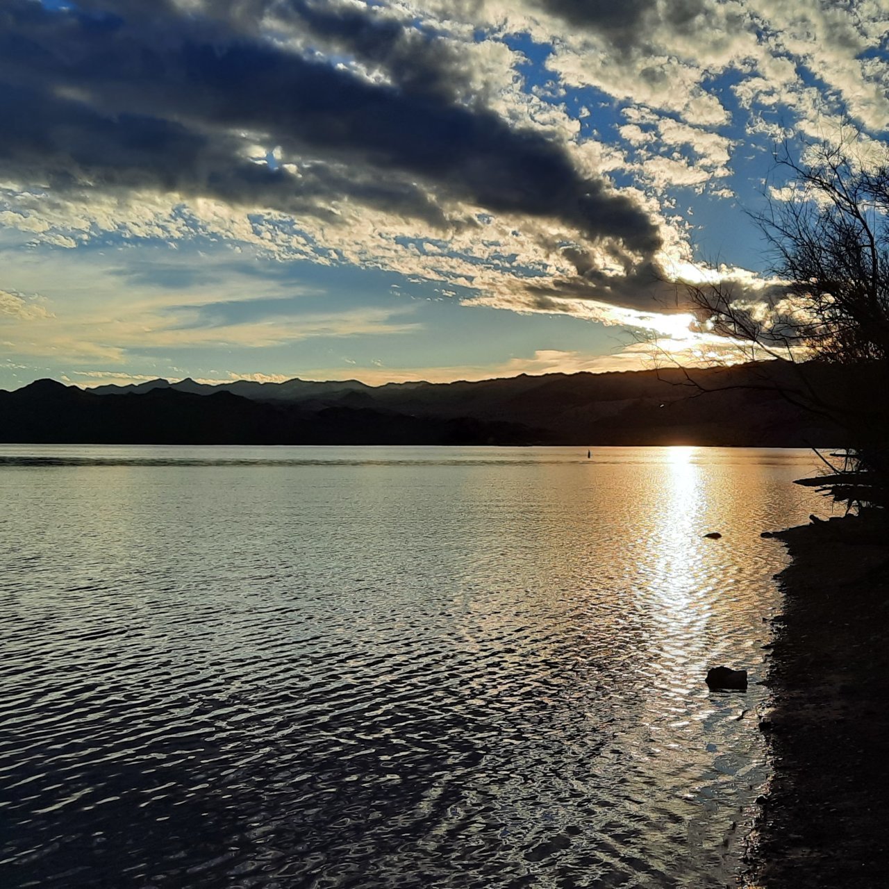 20210202_173733.jpg
