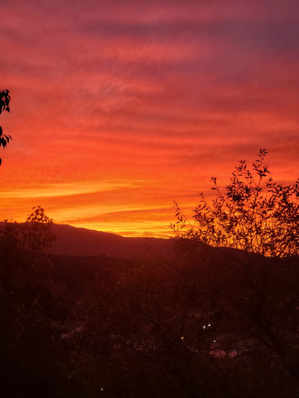20210203_173957.jpg