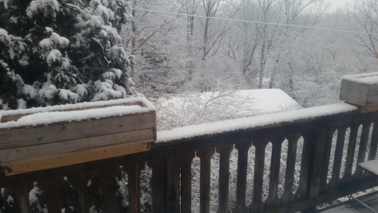 20210207_075551.jpg