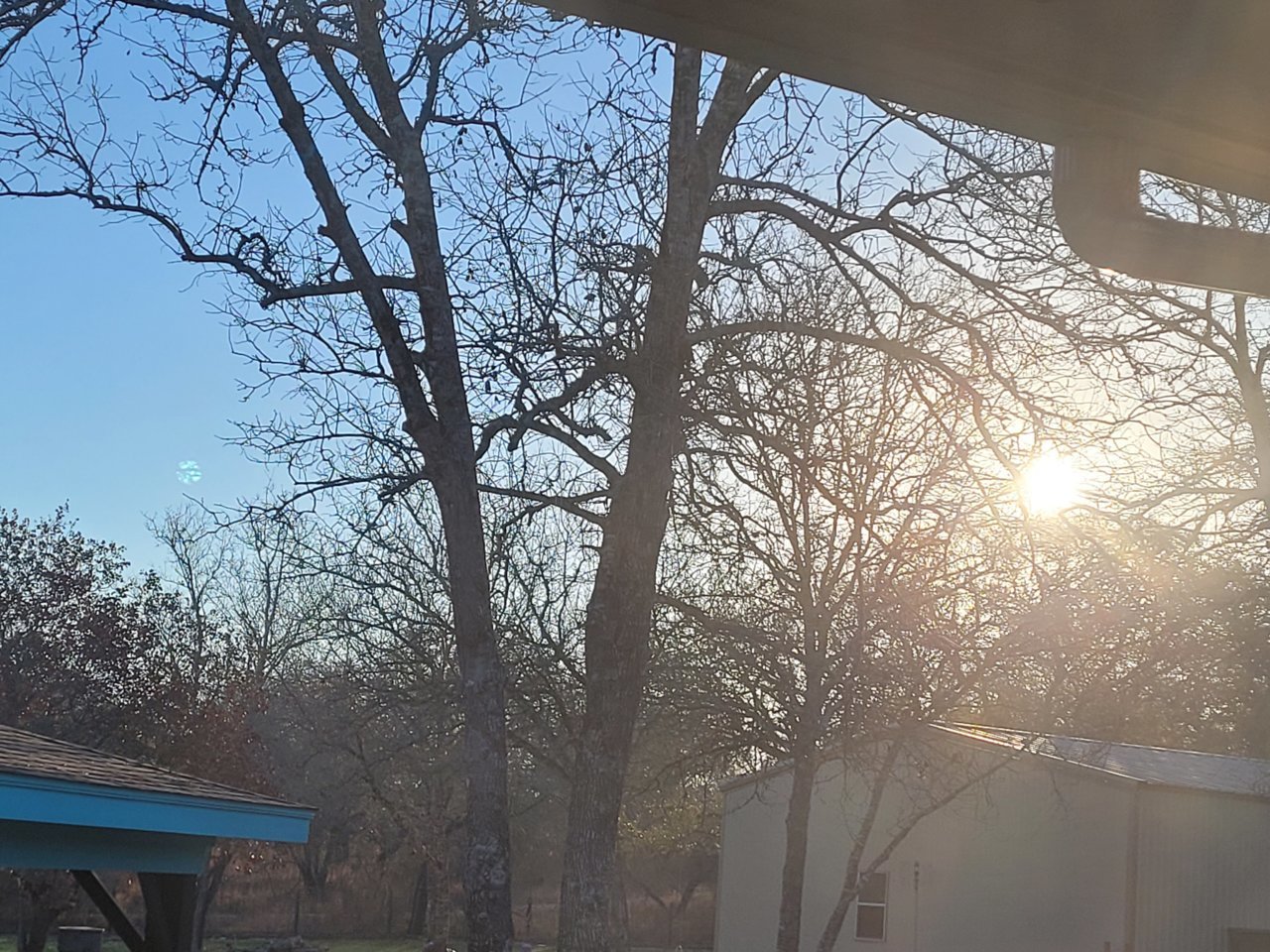 20210207_080946.jpg