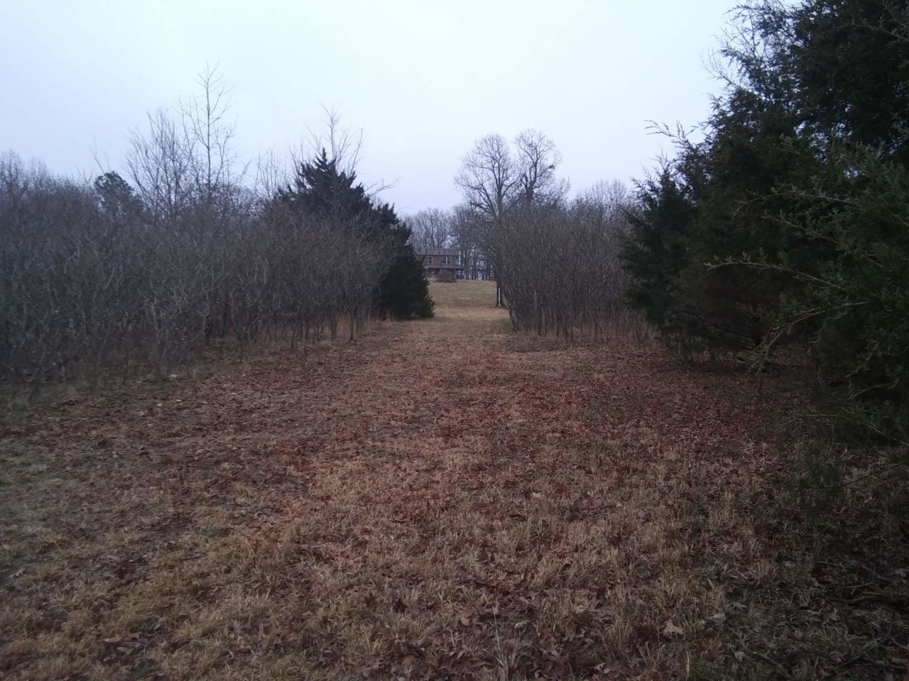 20210207_165203_compress83.jpg