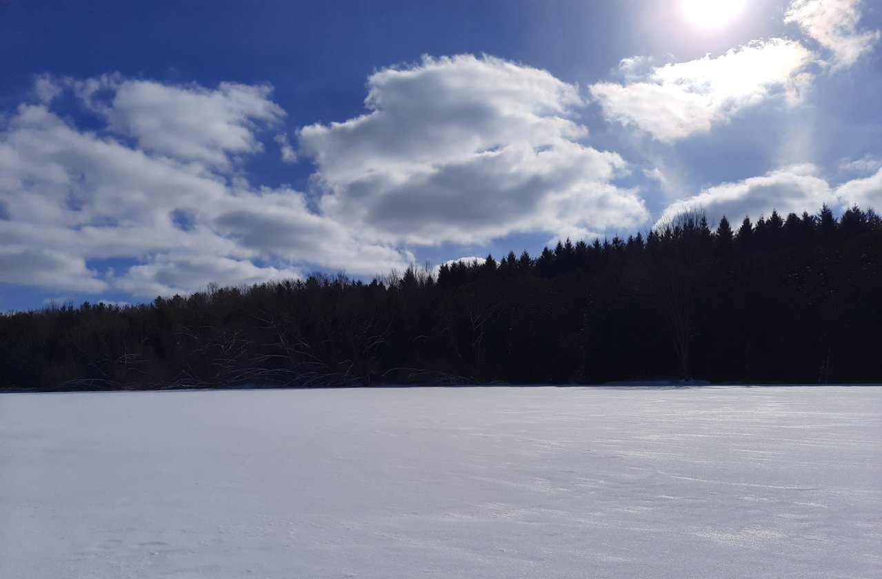 20210210_135251~2.jpg