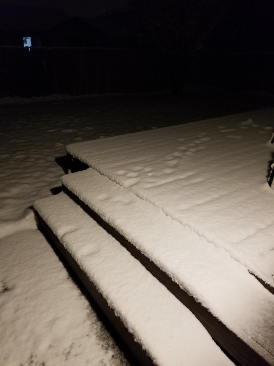 20210212_054537.jpg
