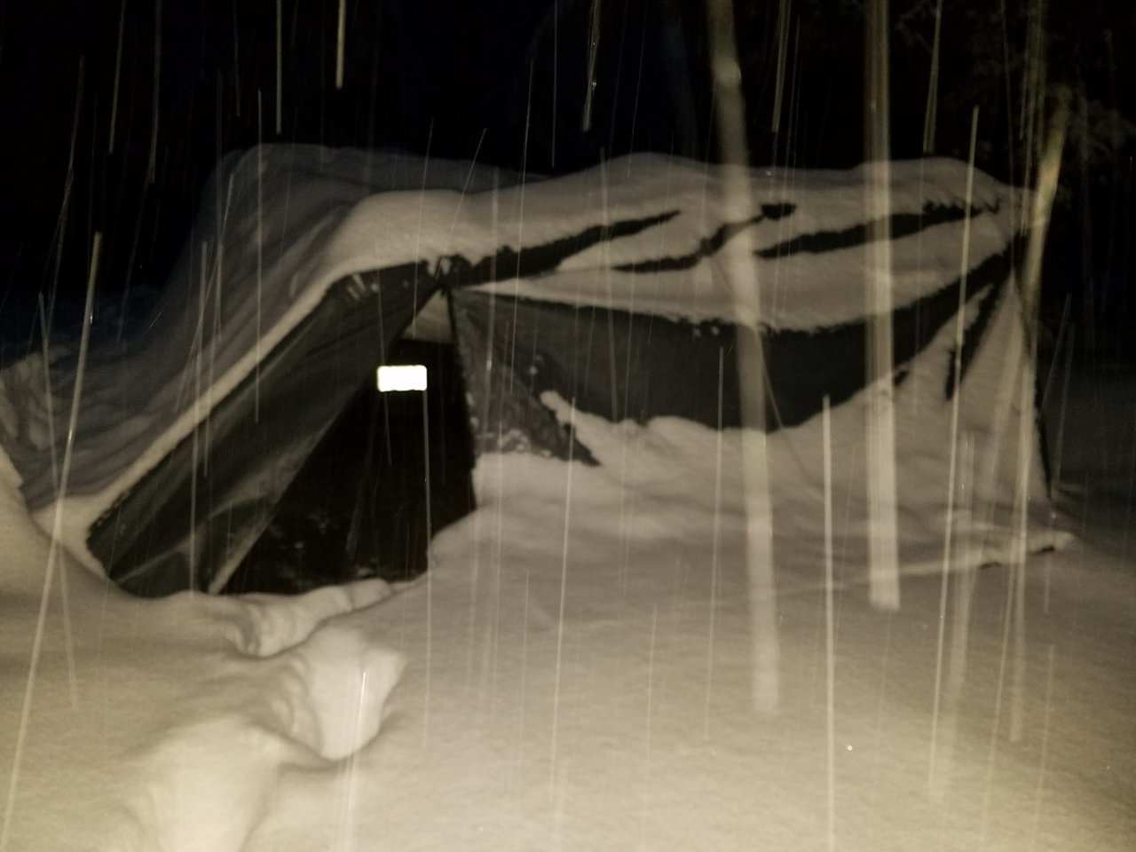 20210213_064121.jpg