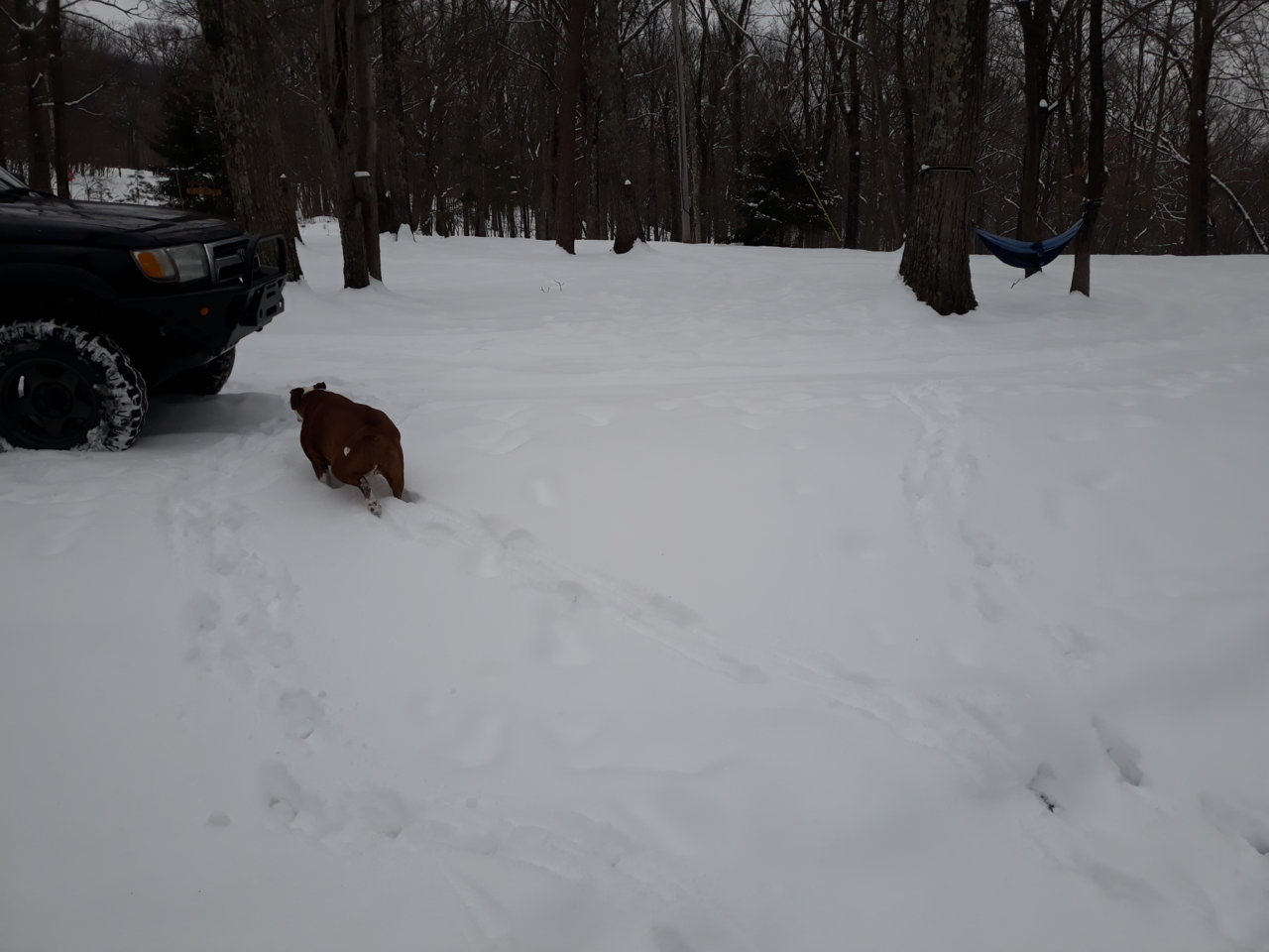 20210213_091058.jpg