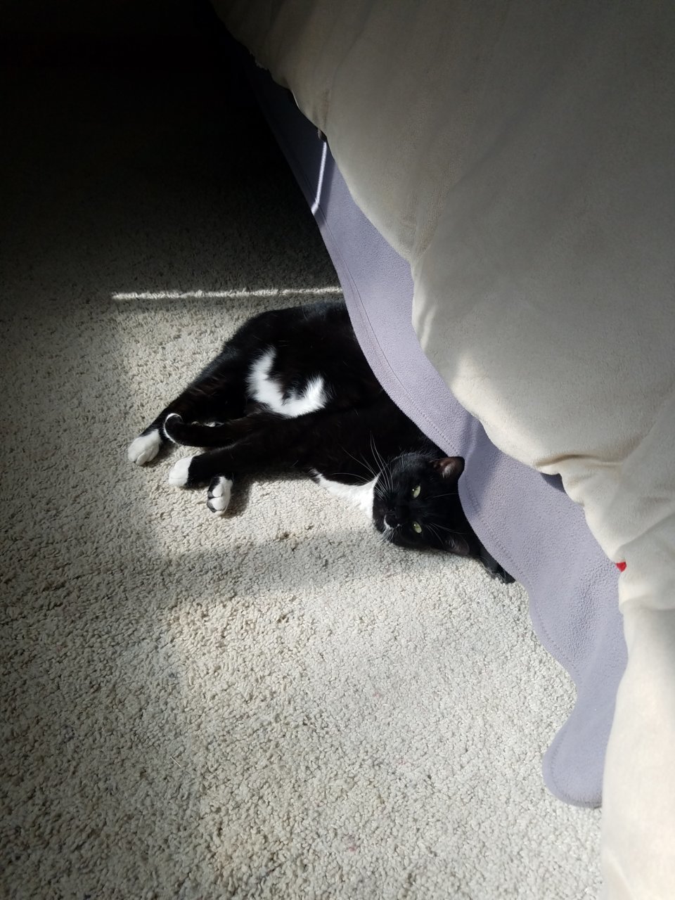 20210213_121828.jpg