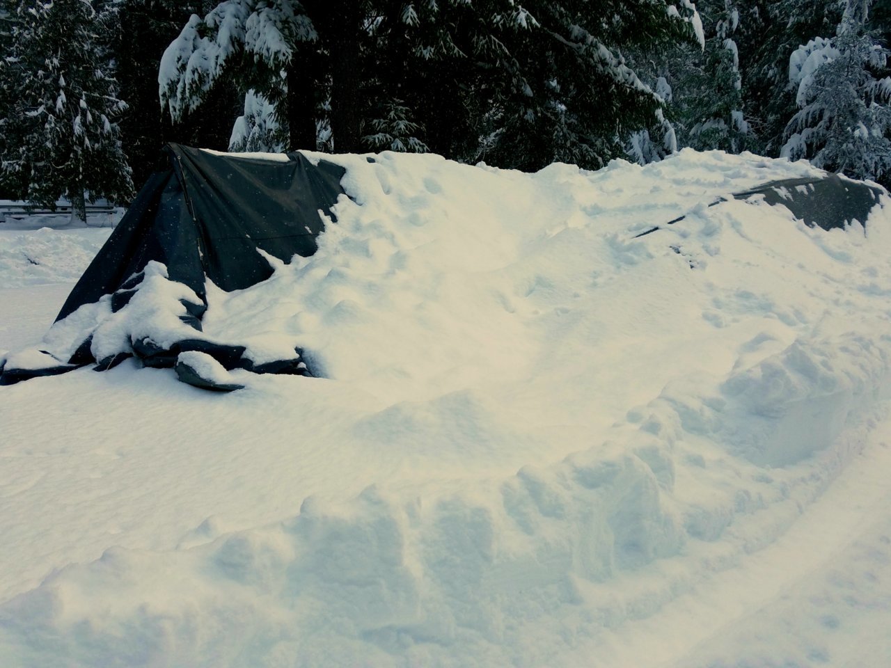 20210213_145313.jpg