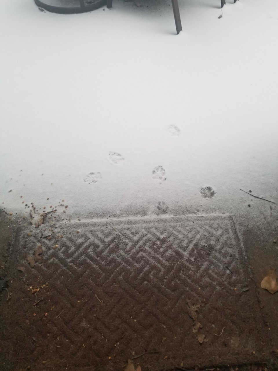 20210214_072939.jpg