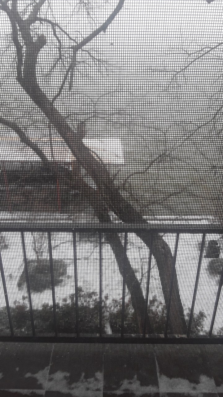 20210214_100937.jpg