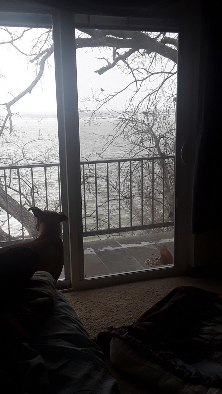 20210214_105501.jpg