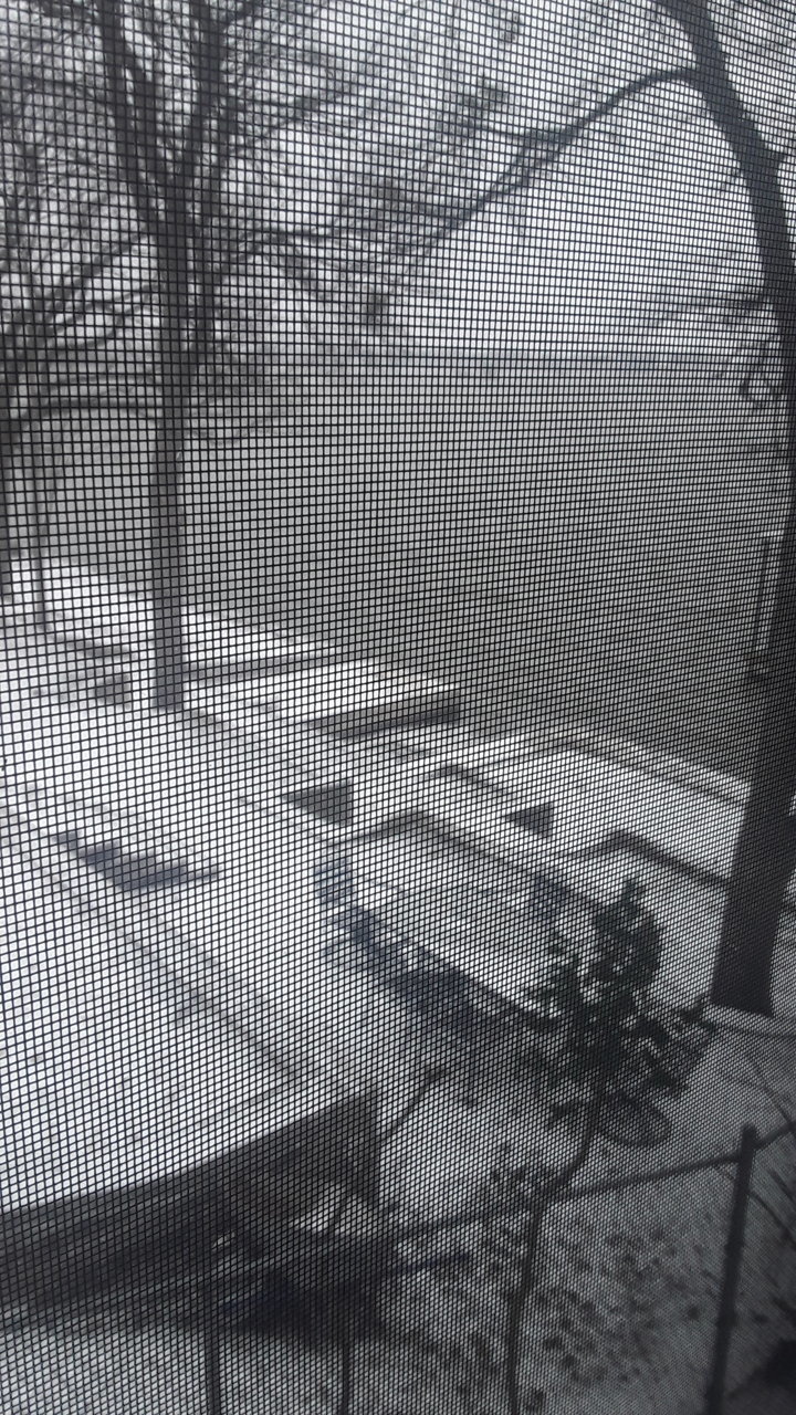 20210214_110239.jpg