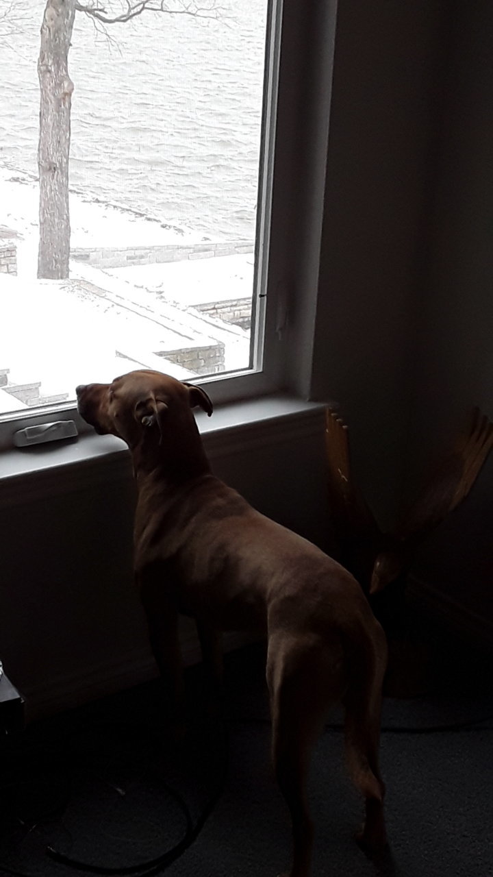 20210214_121055.jpg