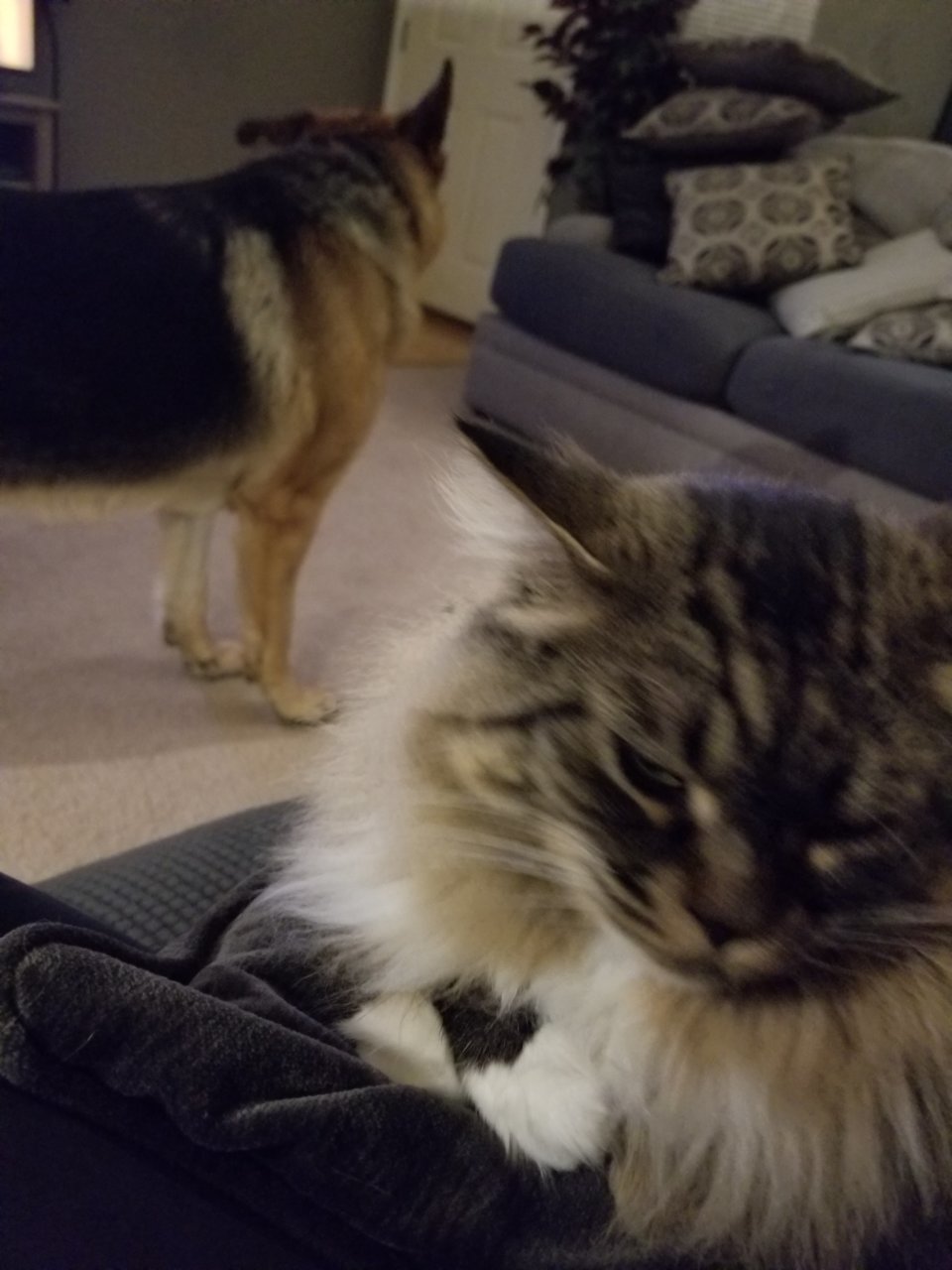 20210214_204248.jpg