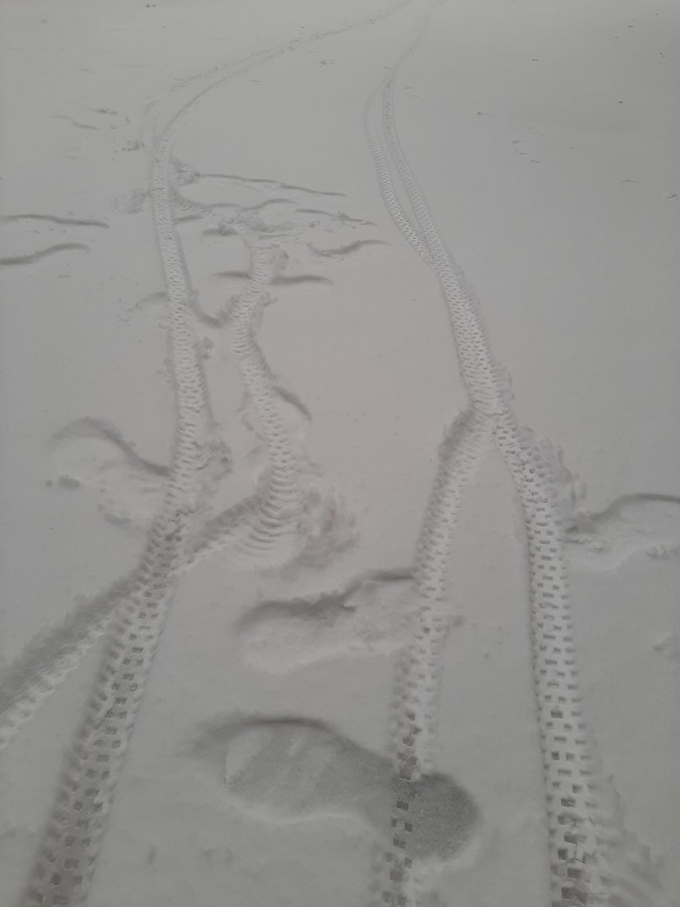 20210215_072513.jpg