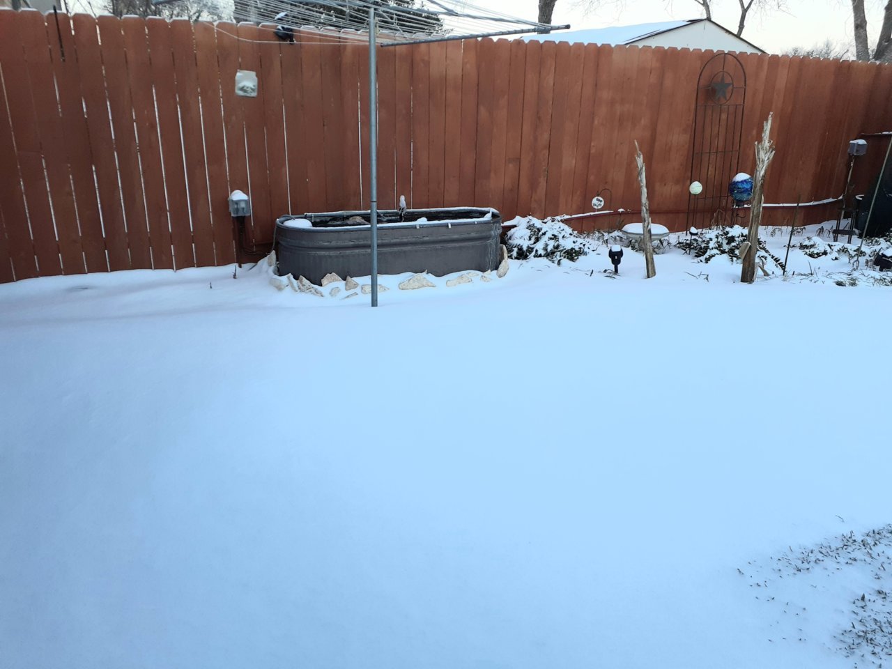20210215_075456.jpg