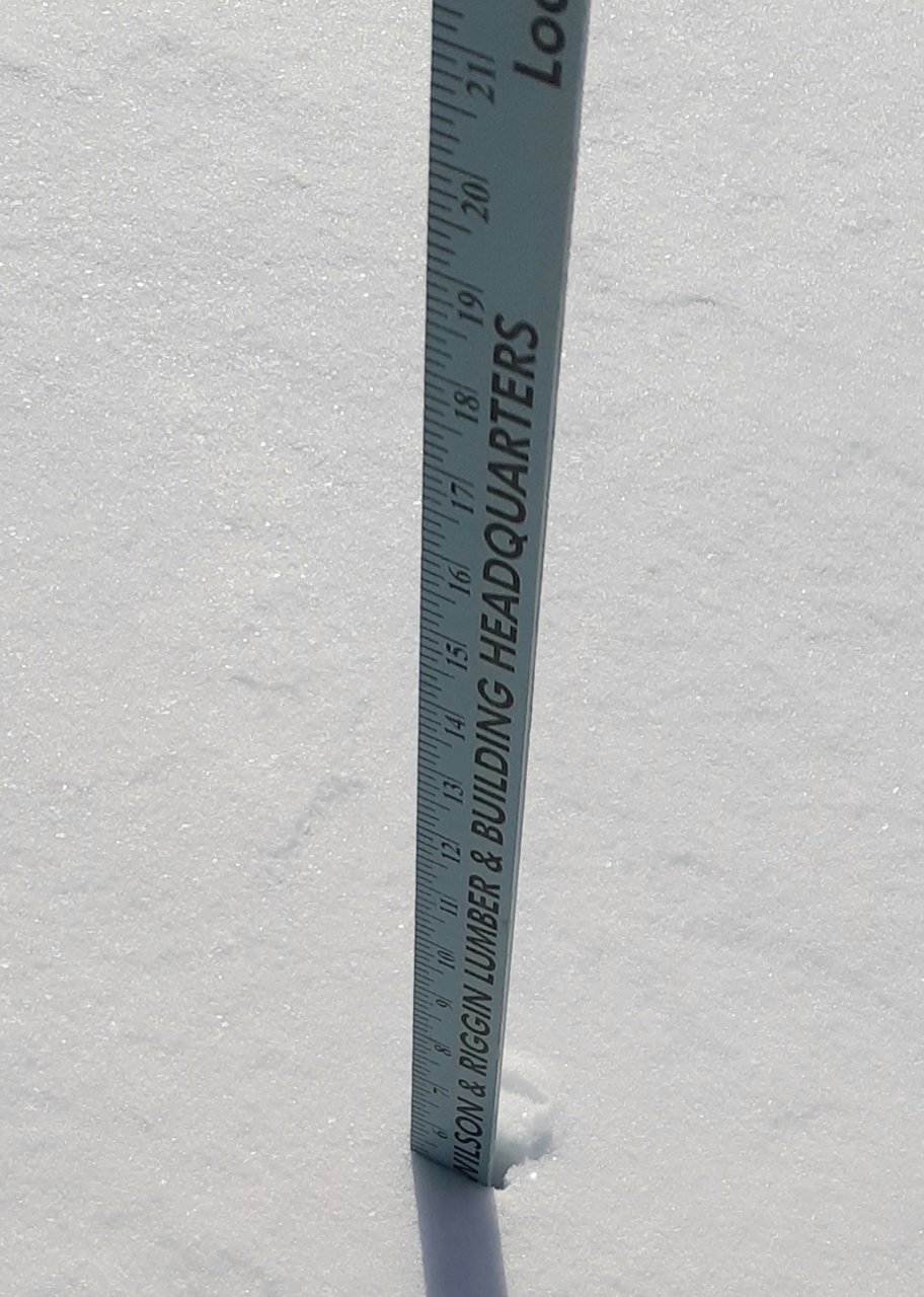 20210215_093341.jpg