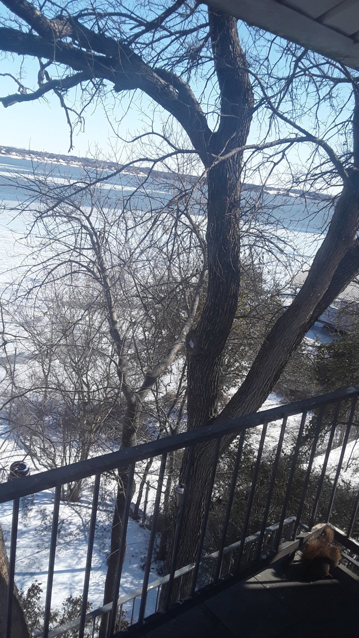 20210215_112701.jpg