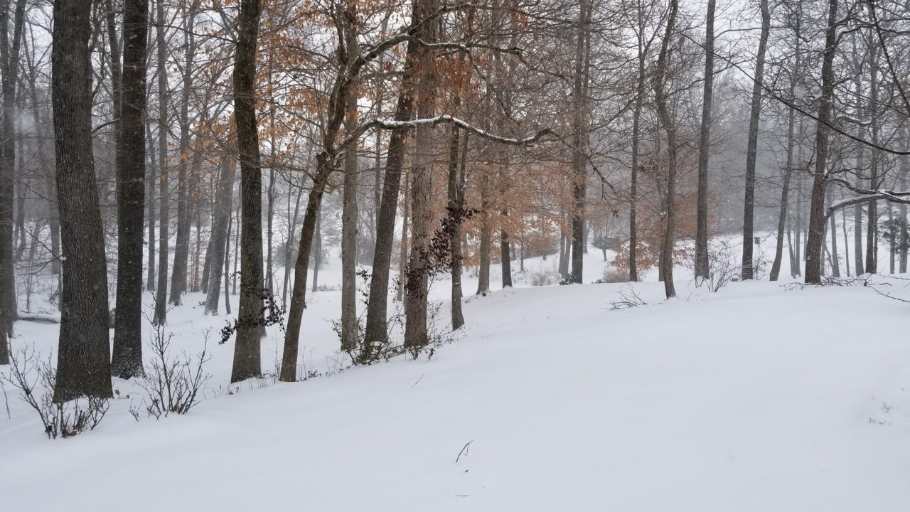 20210215_134208.jpg