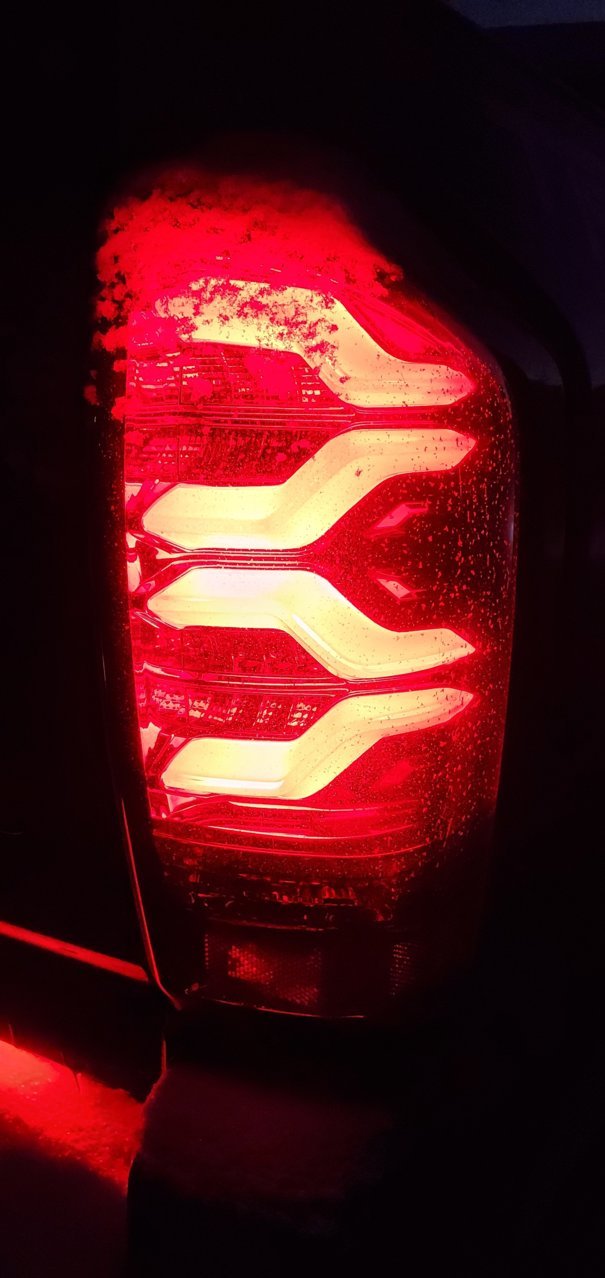20210216_061527.jpg